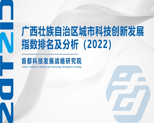 嫩草视频骚逼【成果发布】广西壮族自治区城市科技创新发展指数排名及分析（2022）